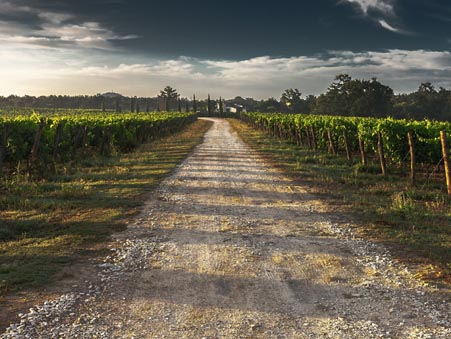 TRANSAGRI VIGNOBLES / Estimation